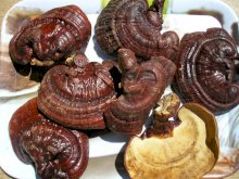 Рейши гриб, цельный (Ganoderma Lucidum) 